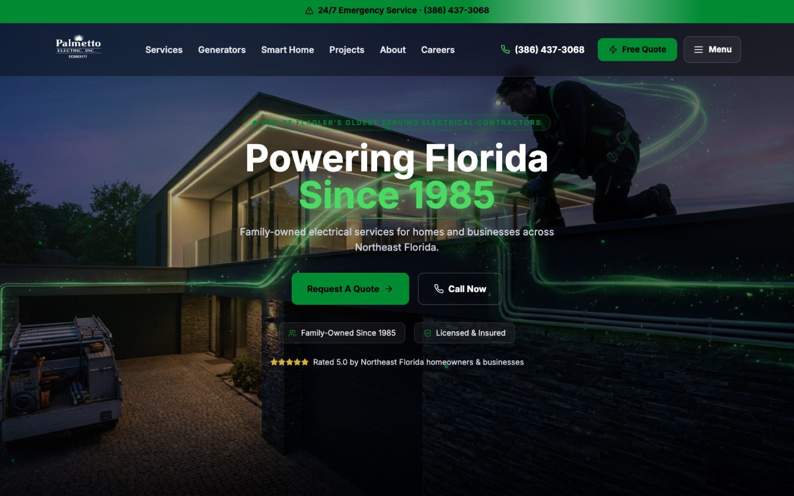 Palmetto Electric website preview